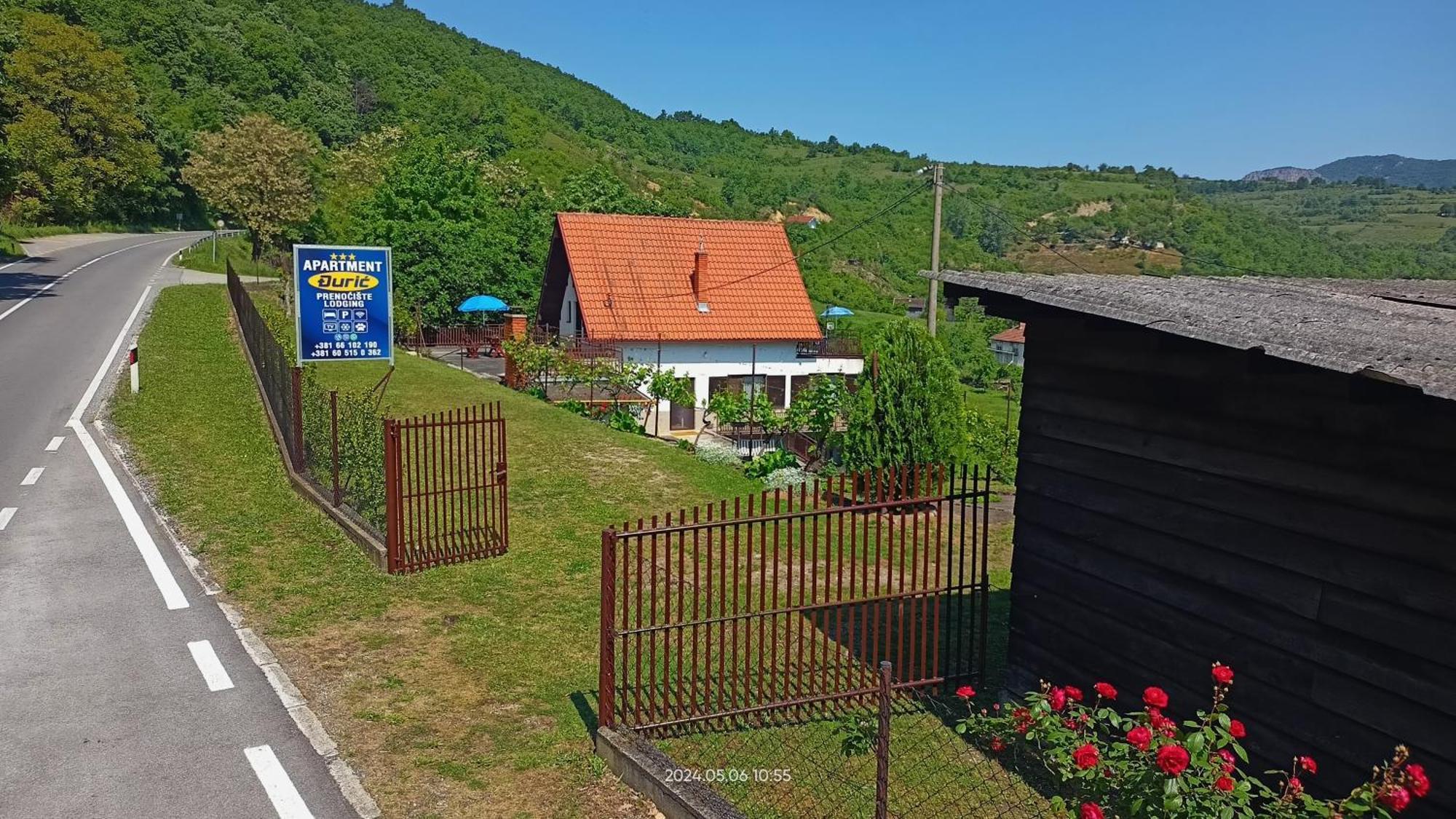 Apartman Duric Donji Milanovac Dış mekan fotoğraf