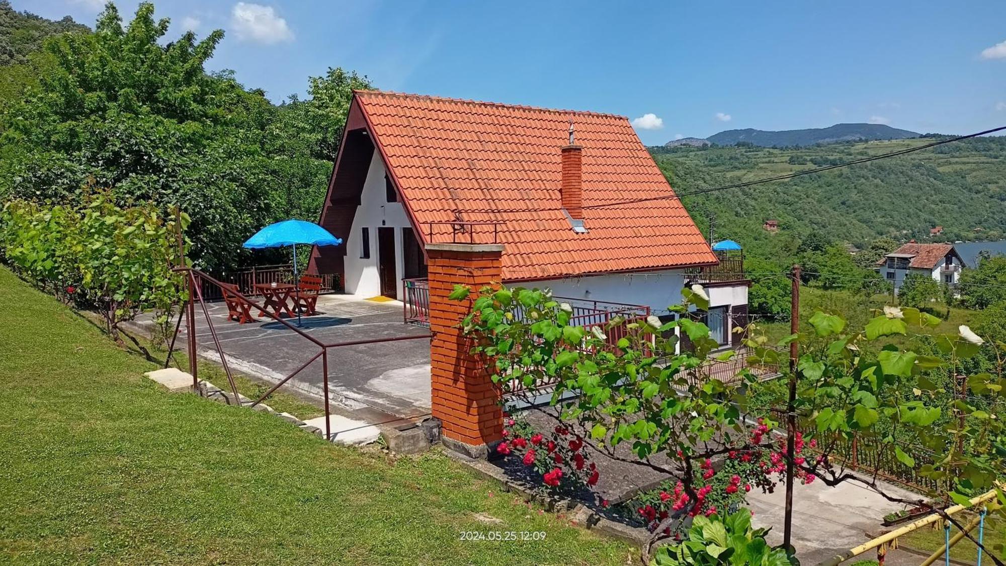 Apartman Duric Donji Milanovac Dış mekan fotoğraf